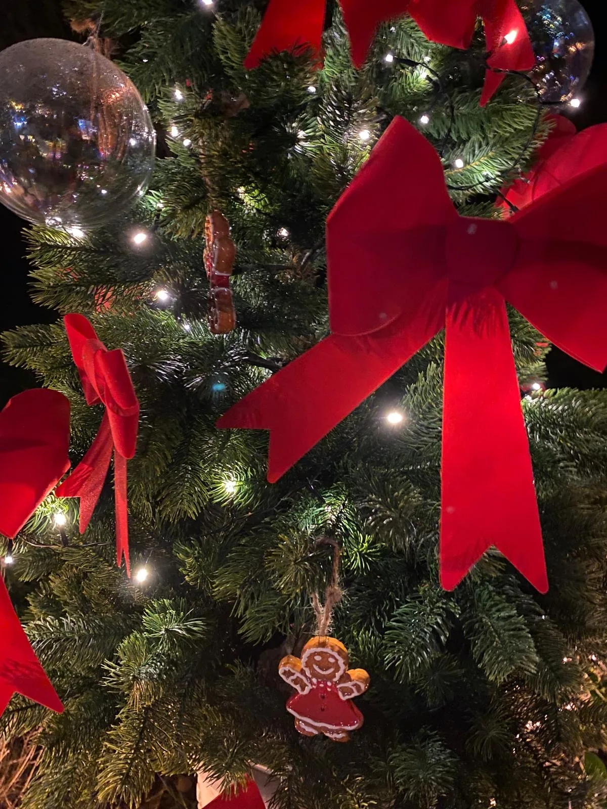 2f5b771a-72ae-4de4-b5a0-0e3f9b75bb46