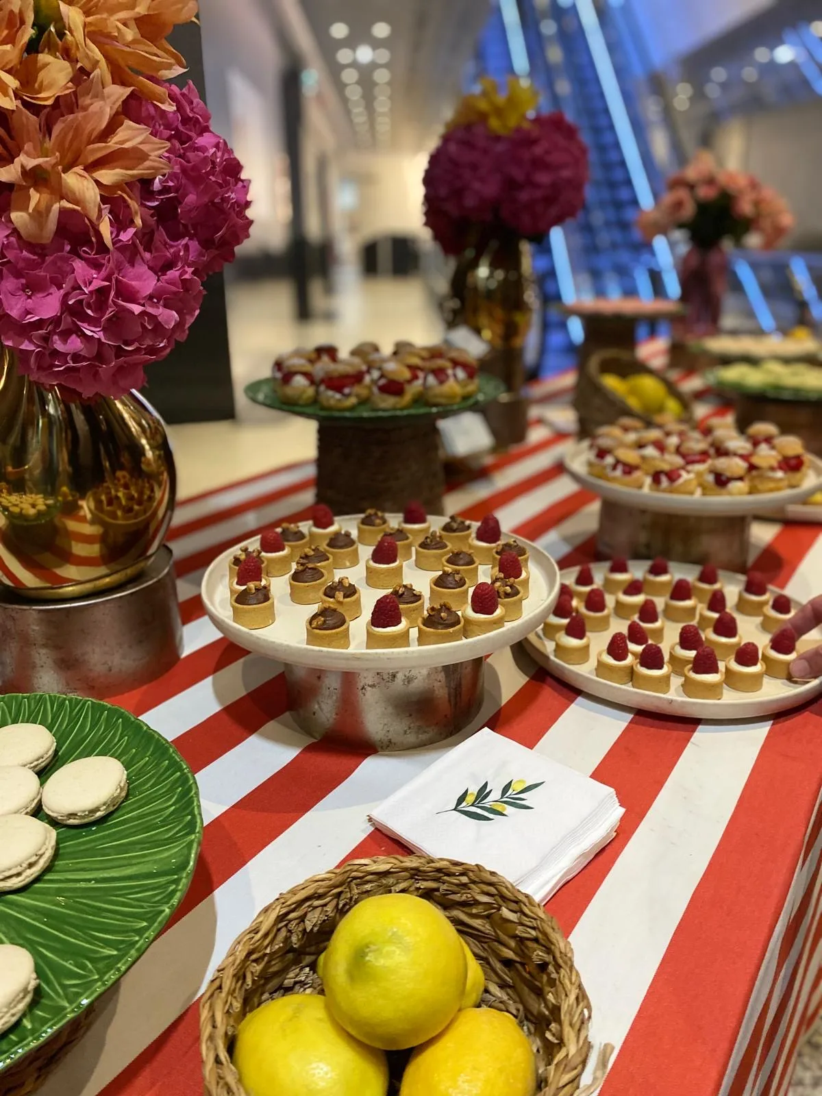 d46850e6-497e-4488-9188-6d256786c674