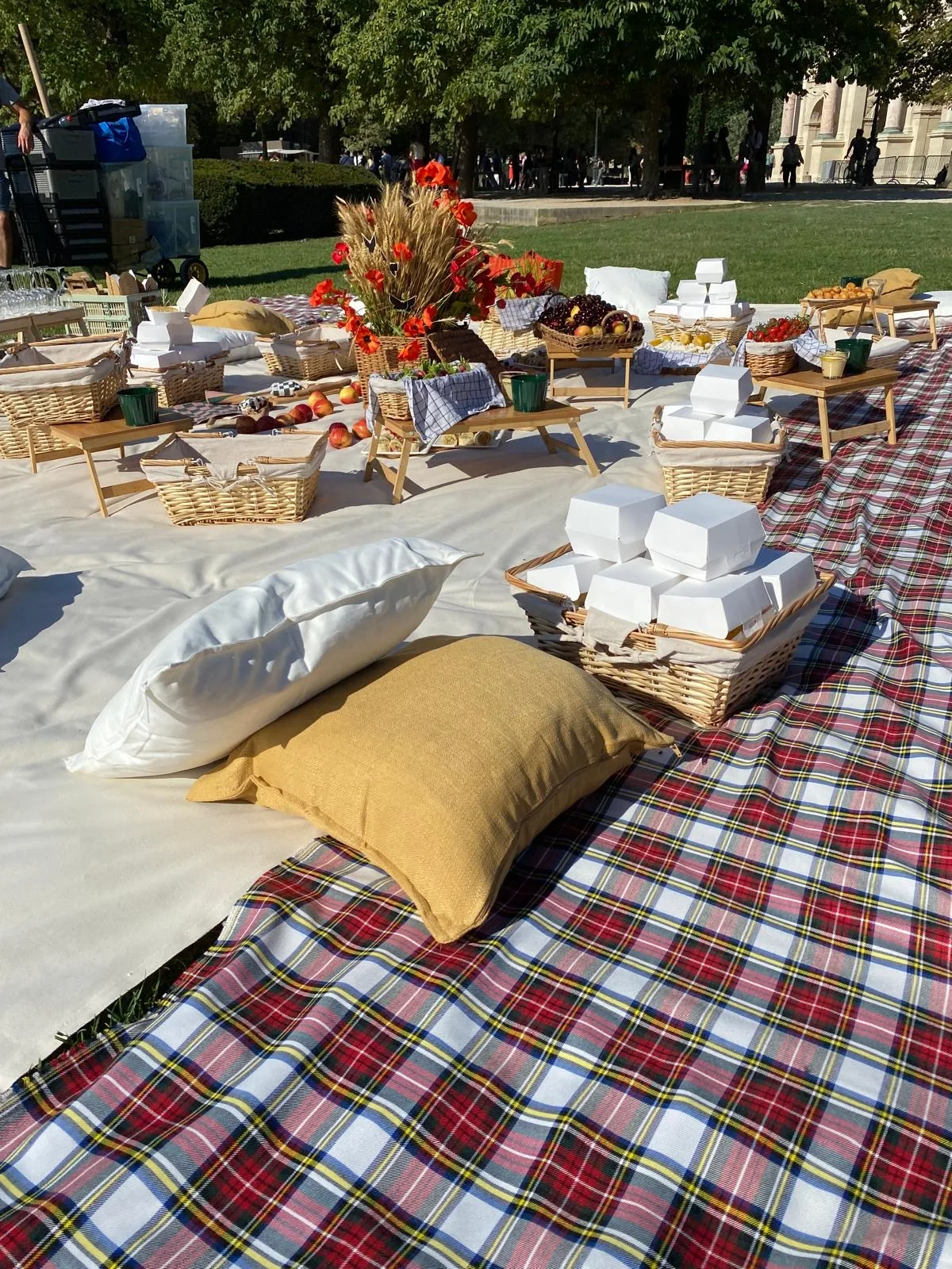 d476d240-10f4-4bd4-8509-2a292bff13c3